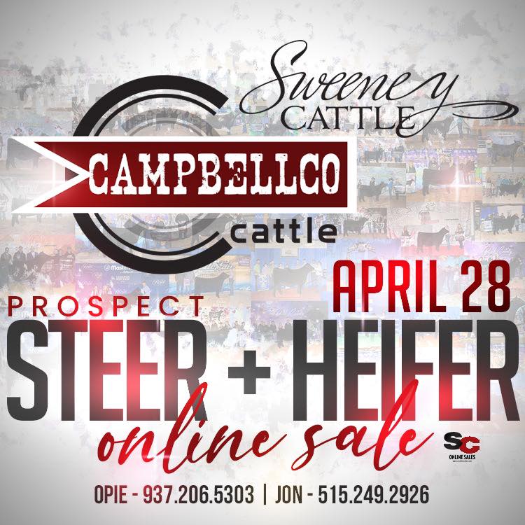 CampbellCo April Cattle Sale image